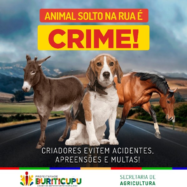 Animal solto na rua é crime!